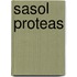 Sasol Proteas