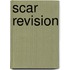 Scar Revision
