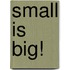 Small Is Big!