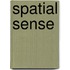 Spatial Sense