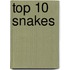Top 10 Snakes