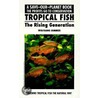 Tropical Fish door Wolfgang Sommer
