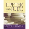 2 Peter & Jude door Peter H. Davids