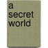 A Secret World