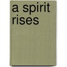 A Spirit Rises door Sylvia Townsend Warner