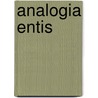 Analogia Entis door Steven A. Long