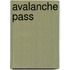 Avalanche Pass