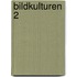 Bildkulturen 2