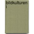 Bildkulturen I