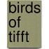 Birds of Tifft