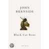 Black Cat Bone door John Burnside