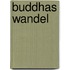 Buddhas Wandel
