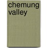 Chemung Valley door Diane L. Janowski
