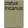 Cistus incanus door Falk Guddat