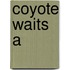 Coyote Waits A