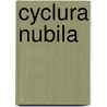 Cyclura Nubila by John McBrewster