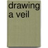 Drawing A Veil