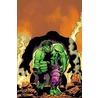Essential Hulk door Stan Lee
