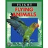Flying Animals