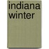 Indiana Winter