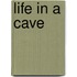 Life in a Cave