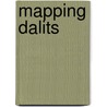 Mapping Dalits door Paramjit S. Judge