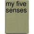 My Five Senses