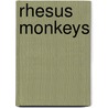 Rhesus Monkeys by Gillian Gosman