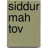 Siddur Mah Tov by Lauren Kurland