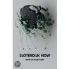 Sloterdijk Now by Stuart Elden