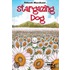Stargazing Dog