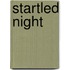 Startled Night