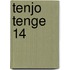 Tenjo Tenge 14