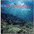 The Coral Reef