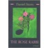 The Rose Rabbi