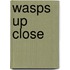 Wasps Up Close