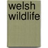 Welsh Wildlife