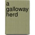 A Galloway Herd