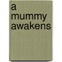 A Mummy Awakens
