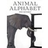 Animal Alphabet