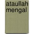 Ataullah Mengal