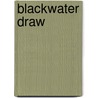 Blackwater Draw door David S. Turk