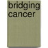 Bridging Cancer