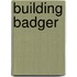 Building Badger