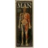 Dimensional Man