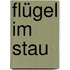 Flügel im Stau
