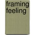 Framing Feeling