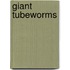 Giant Tubeworms