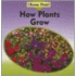 How Plants Grow