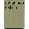 Johannes Calvin by Johannes Kühn